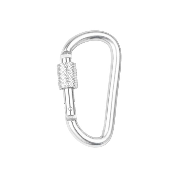 Picture of D-Shaped Screw Lock Keychain