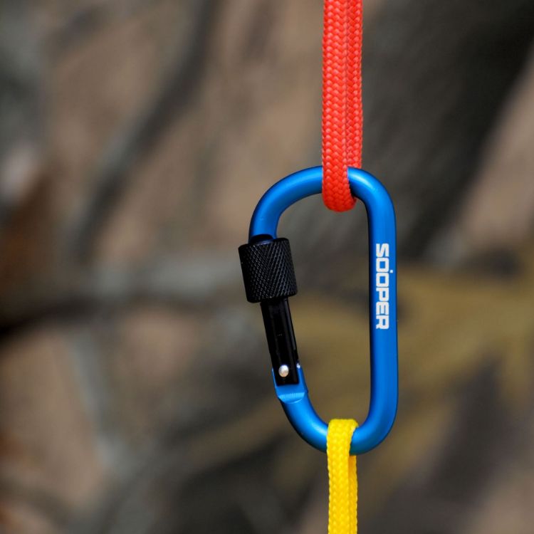 Picture of D-Shaped Screw Lock Keychain