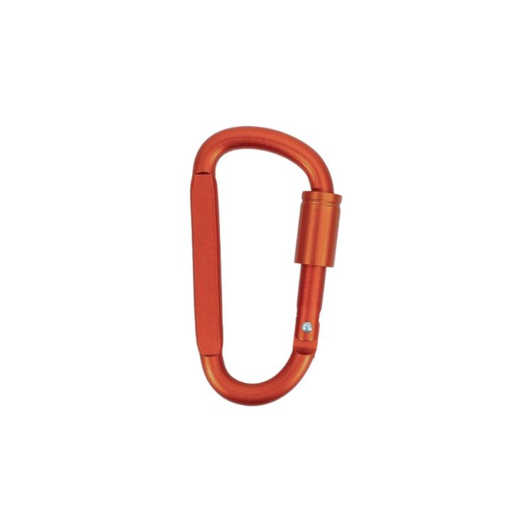 Picture of Custom D Shape Camping Carabiner