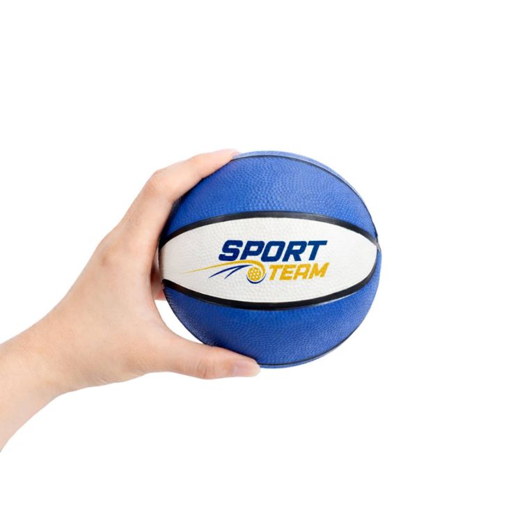 Picture of Mini Promotional Basketball