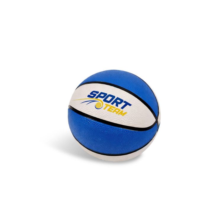 Picture of Mini Promotional Basketball