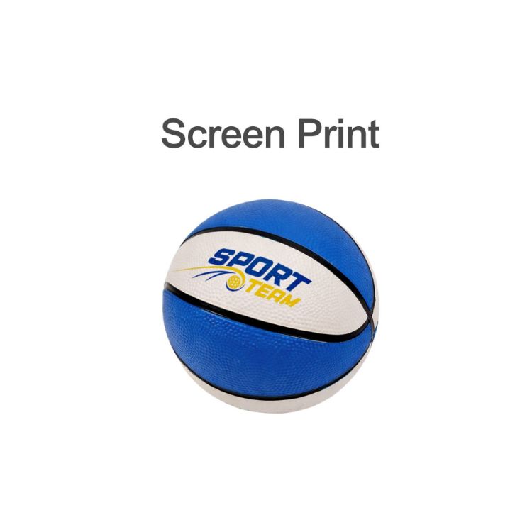 Picture of Mini Promotional Basketball