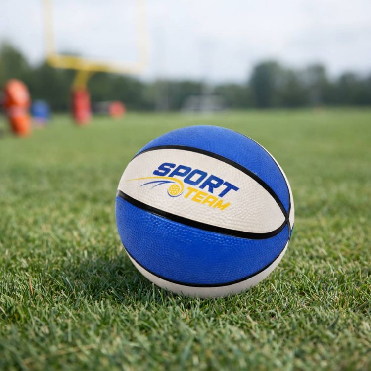 Picture of Mini Promotional Basketball