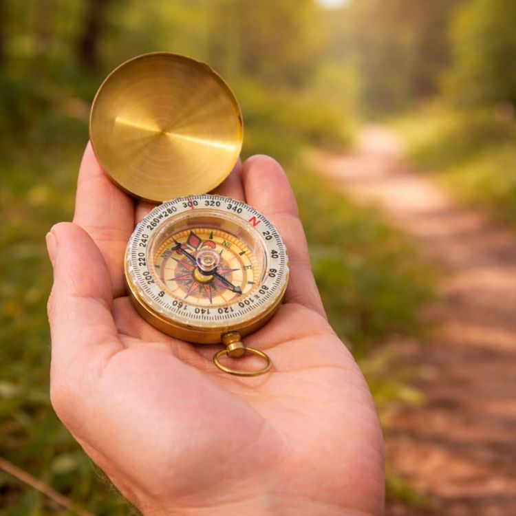 Picture of Luminous Compass