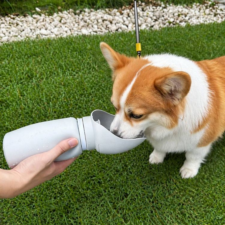 Picture of 550ml Leaf Bowl Collapsible Dog Water Bottle