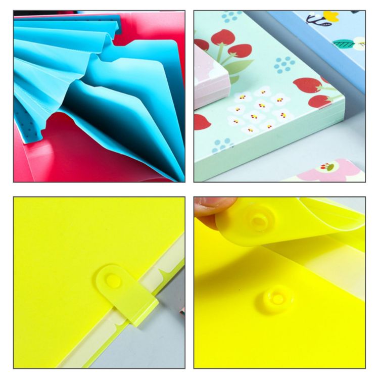 Picture of A4 Expandable File Folder