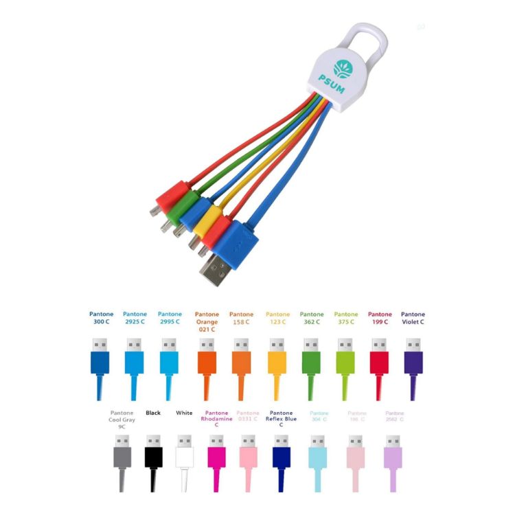 Picture of 6-In-1 Cable