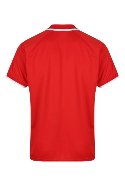 Picture of DOUBLE BAY MENS POLOS RUNOUT