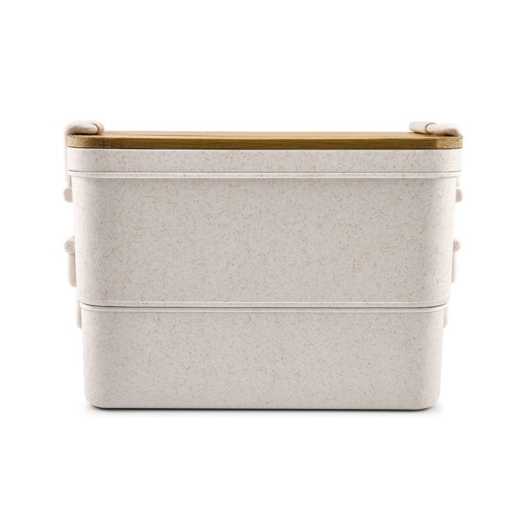Picture of Sturdee Dual-Compartment Lunch Box