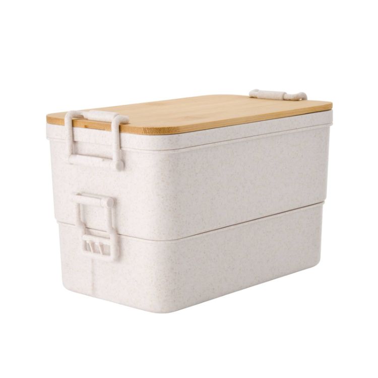 Picture of Sturdee Dual-Compartment Lunch Box