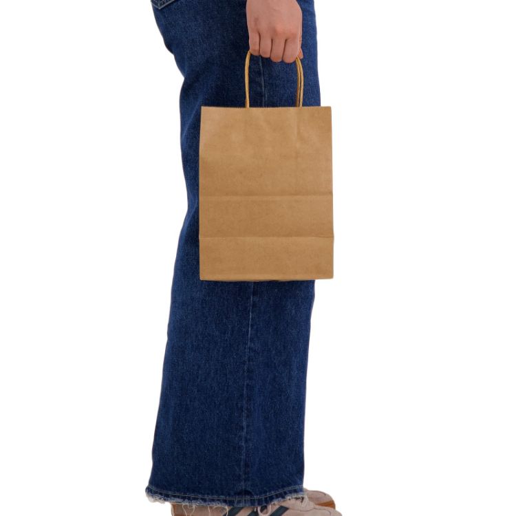 Picture of Express Paper Bag Medium