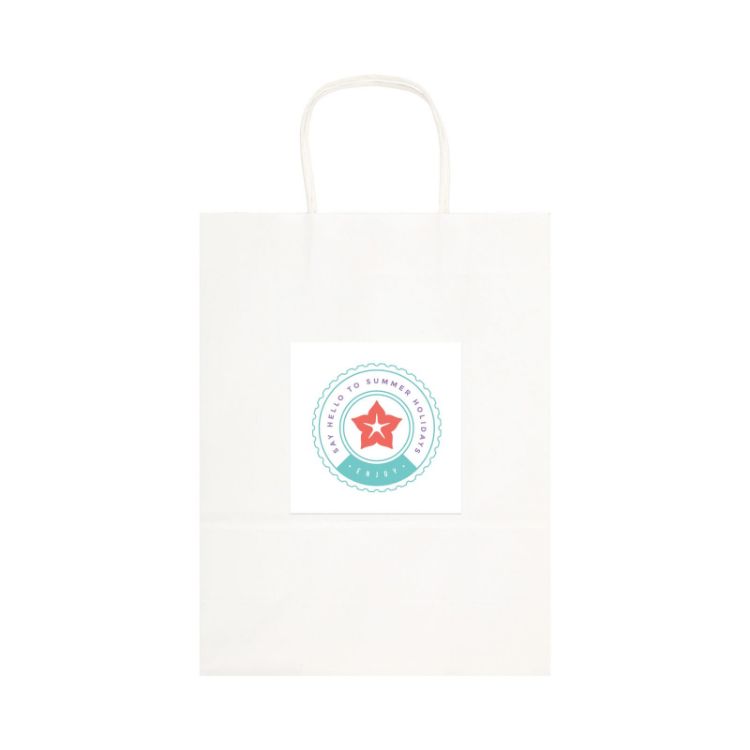 Picture of Express Paper Bag Large