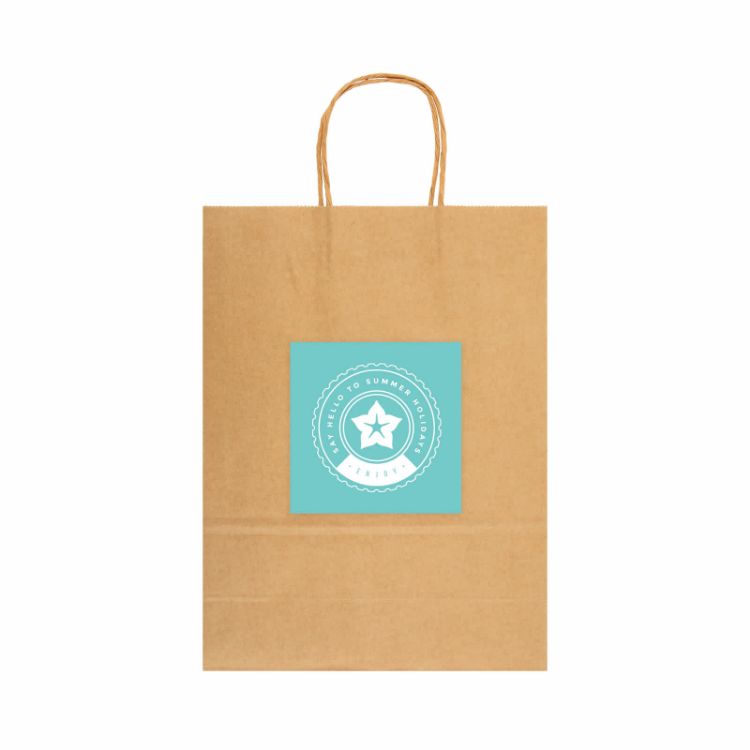 Picture of Express Paper Bag Large