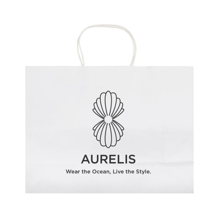Picture of Express Paper Bag Extra Large