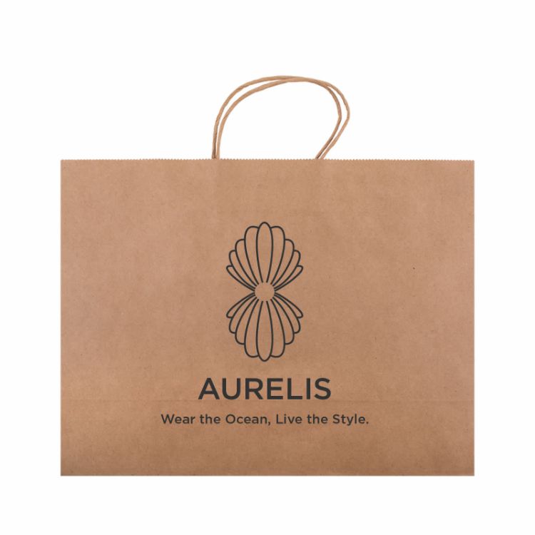 Picture of Express Paper Bag Extra Large