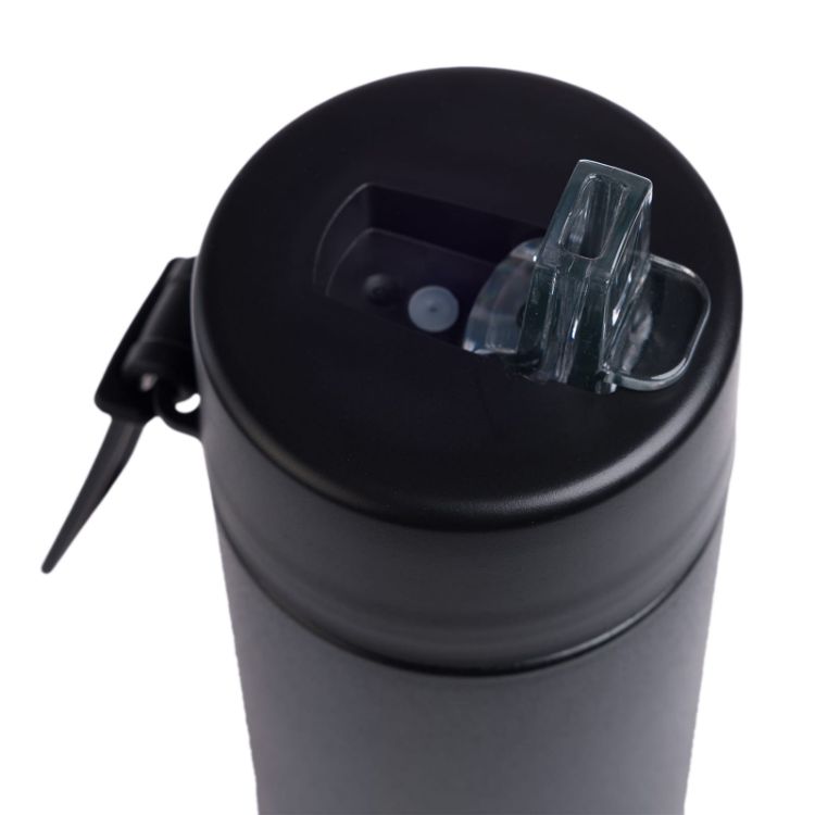 Picture of Zara 600ml Steel Bottle