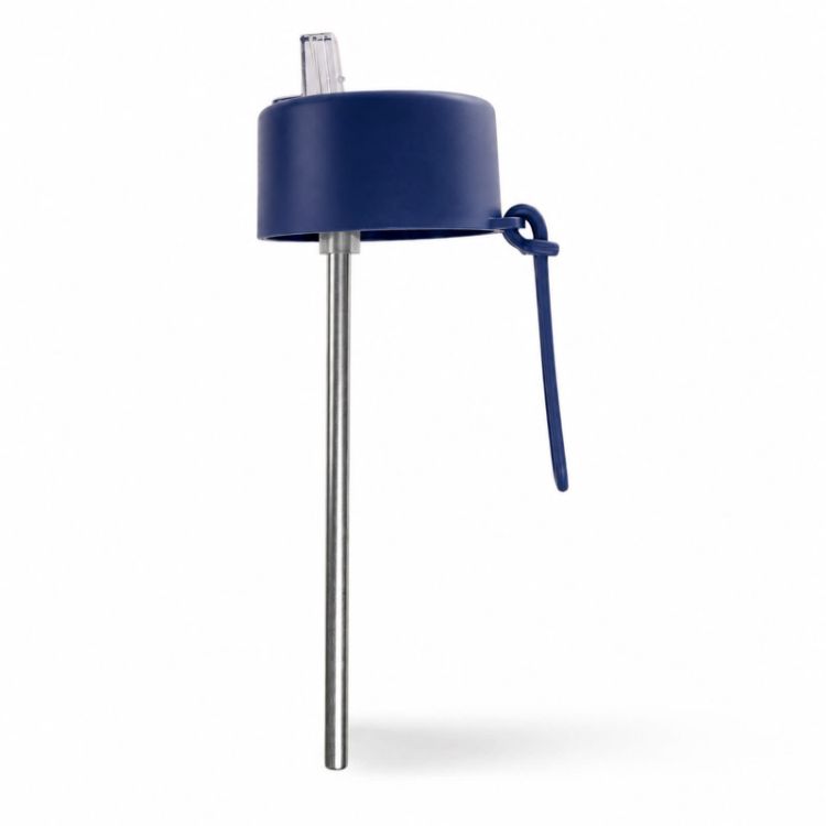 Picture of Zara 600ml Steel Bottle