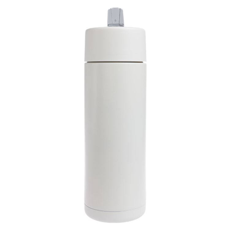 Picture of Zara 600ml Steel Bottle