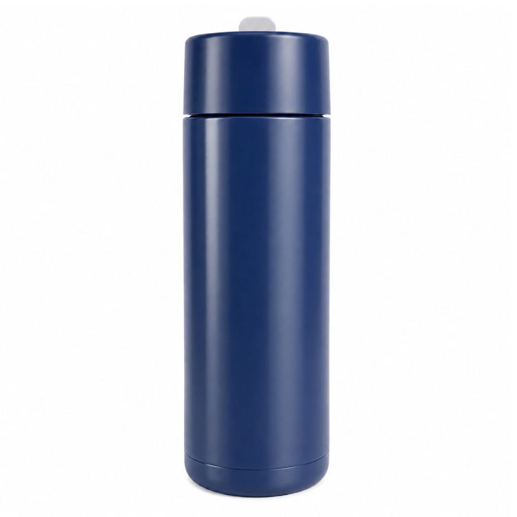 Picture of Zara 600ml Steel Bottle