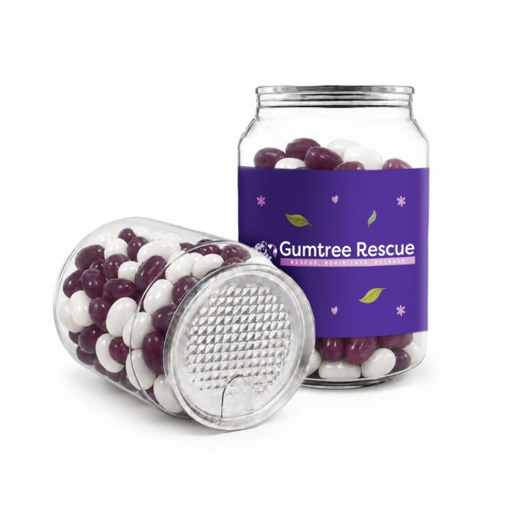 Picture of Corporate Colour Jelly Beans in Clear Can 210g