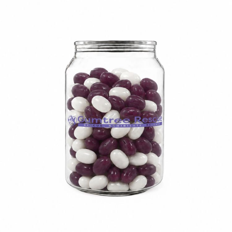 Picture of Corporate Colour Jelly Beans in Clear Can 210g