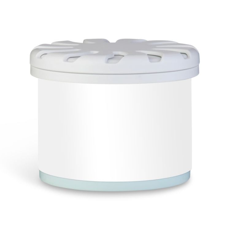 Picture of Bloom Fragrance Pot