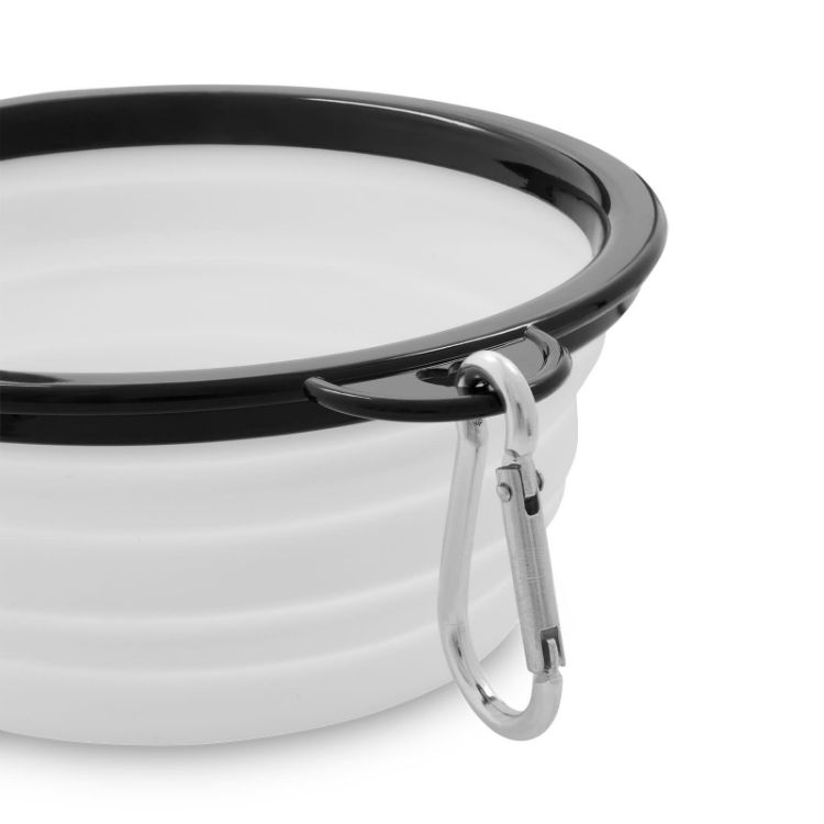 Picture of Buddy Collapsible Bowl