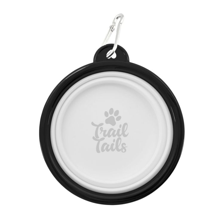 Picture of Buddy Collapsible Bowl