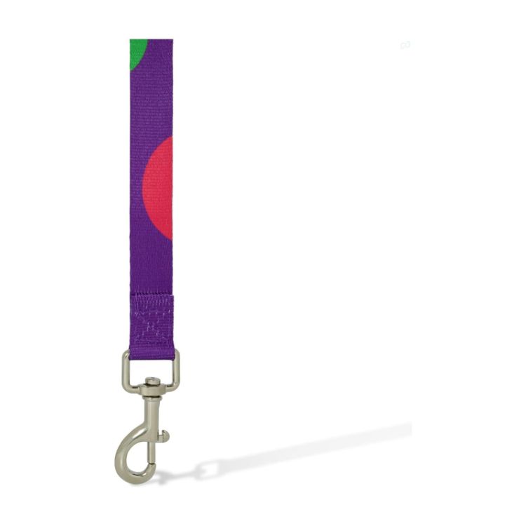 Picture of Sublimated Dog Lead