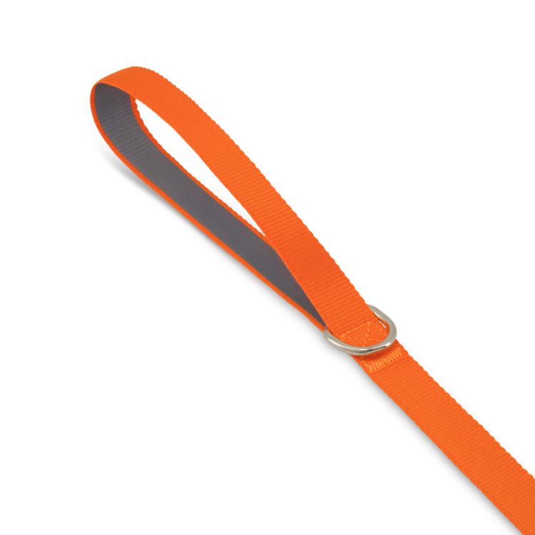 Picture of Printed Dog Lead