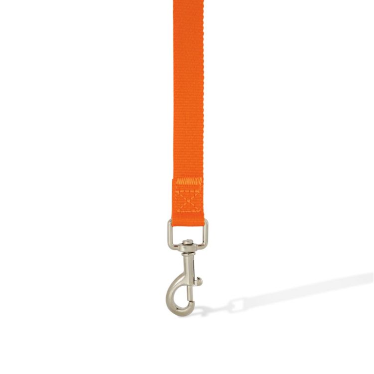 Picture of Printed Dog Lead
