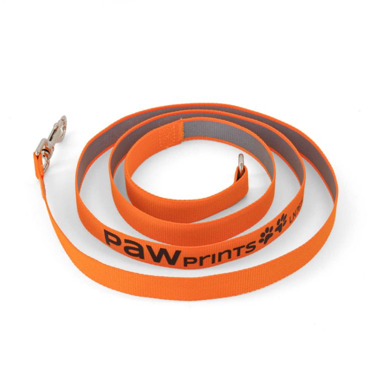 Picture of Printed Dog Lead