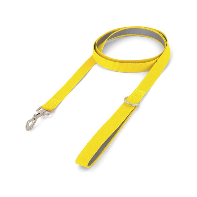 Picture of Printed Dog Lead