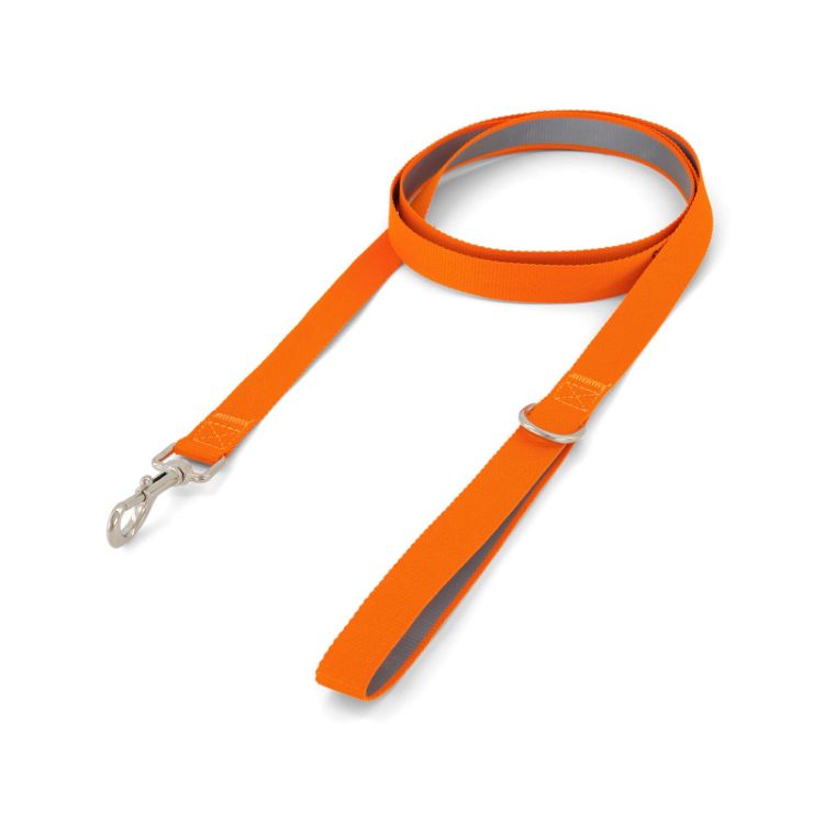 Picture of Printed Dog Lead