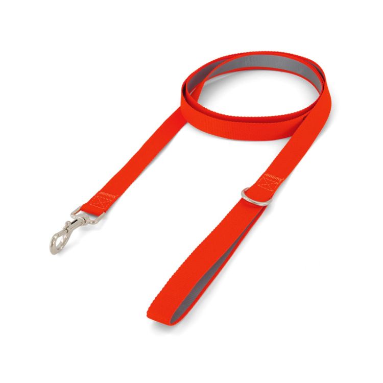 Picture of Printed Dog Lead