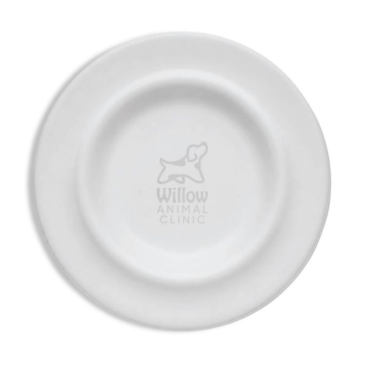 Picture of Sip n Fly Pet Bowl
