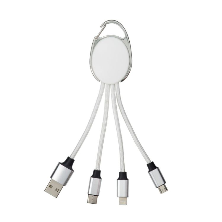 Picture of Boston Charger Cable