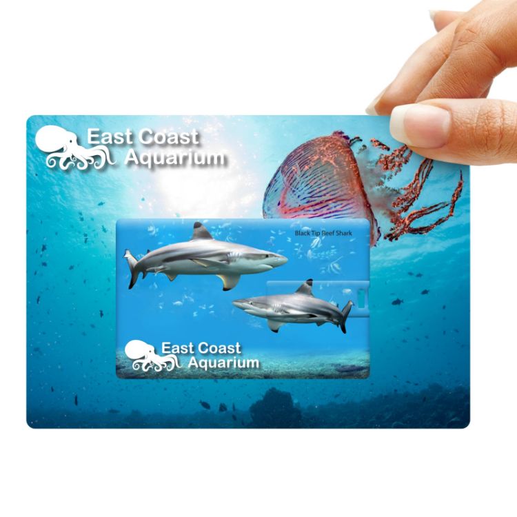 Picture of Credit Card Flash Drive
