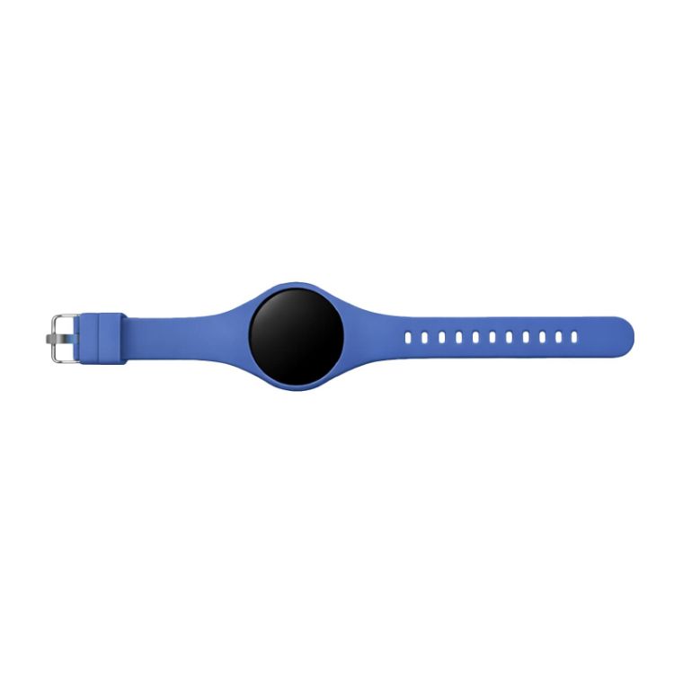 Picture of Lightning Pedometer