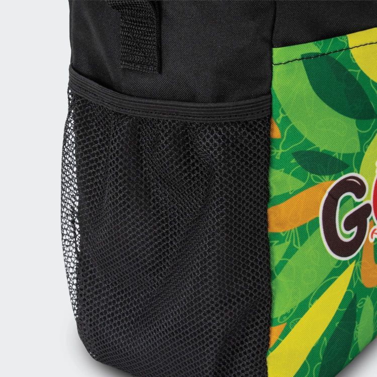 Picture of Franz Lunch Cooler Bag