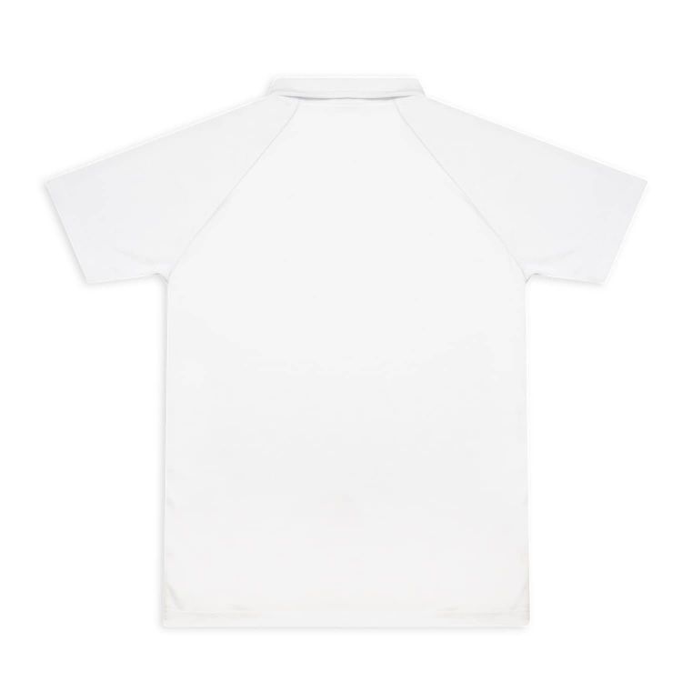 Picture of Custom Mens Active Polo