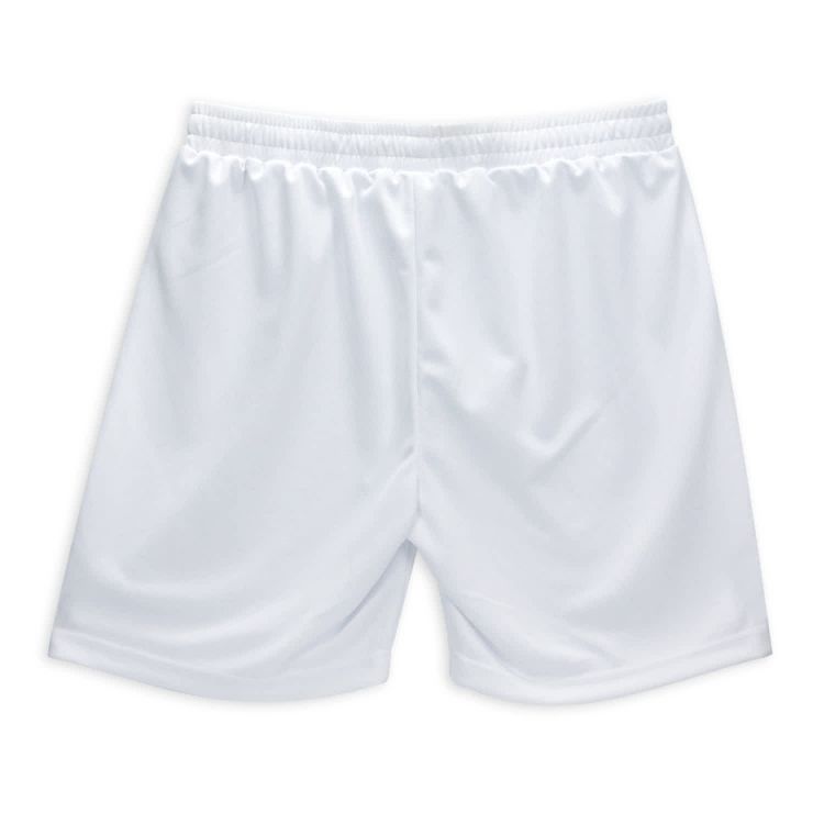 Picture of Custom Mens Active Shorts