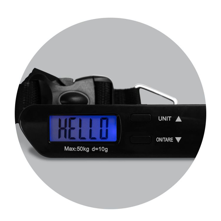 Picture of Travel Luggage Scale
