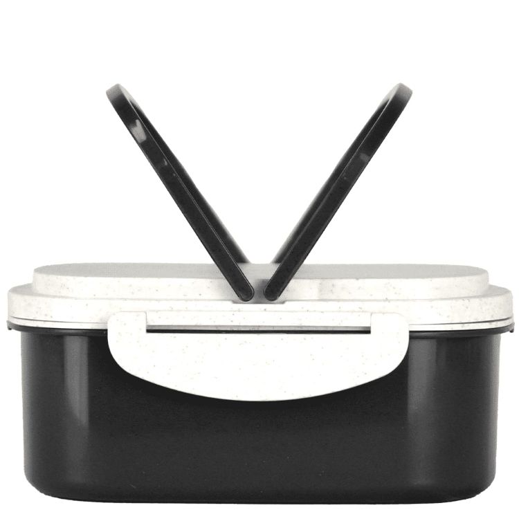 Picture of Plastic & Wheat Straw Lunch Box