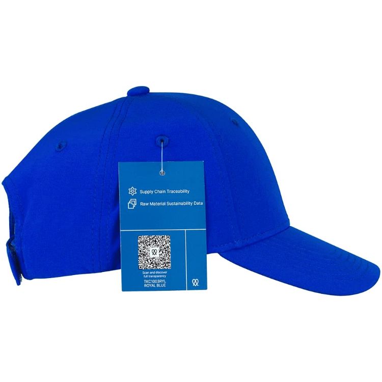 Picture of Trekk Falcon Flex Cap