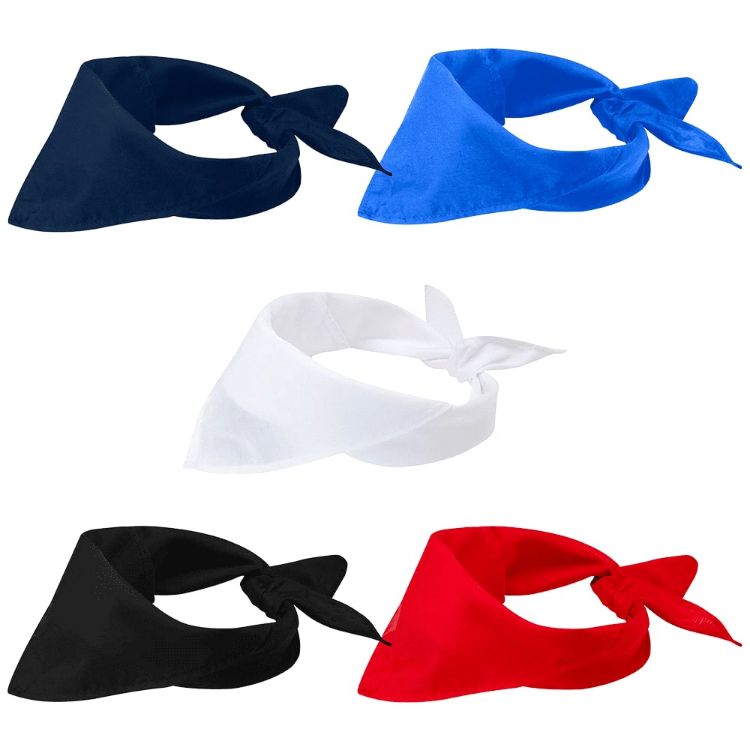 Picture of Heracles Bandana