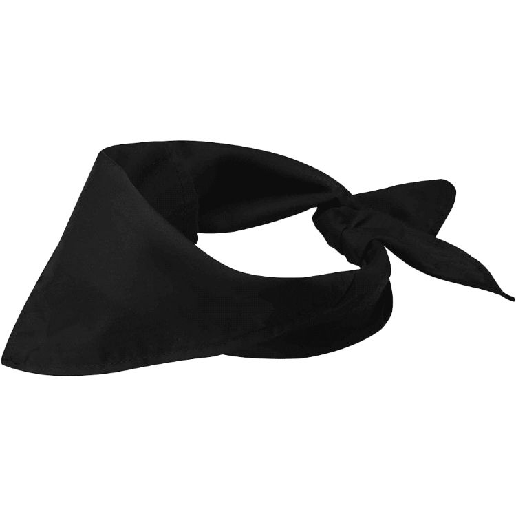 Picture of Heracles Bandana