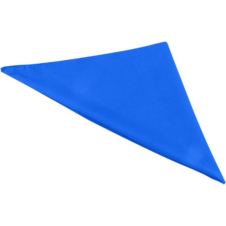 Picture of Heracles Bandana
