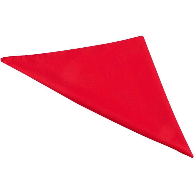 Picture of Heracles Bandana
