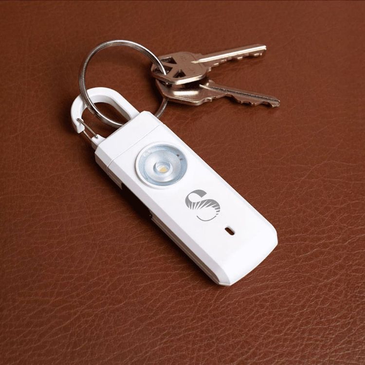 Picture of Safety Alarm Keychain